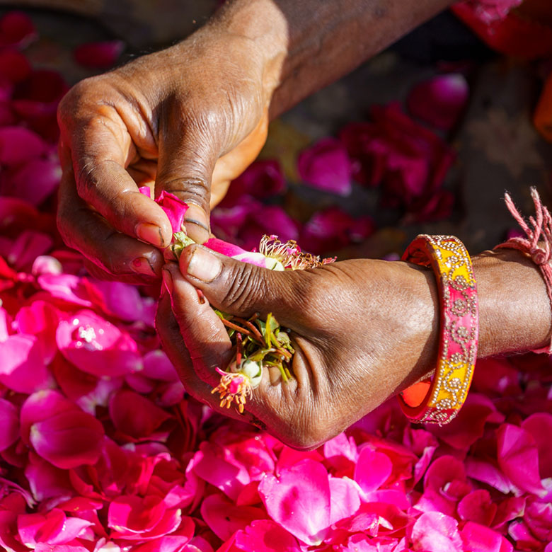 Indien Reiseerlebnis